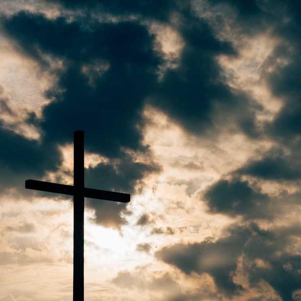 VinoVault Compact Wine Cooler